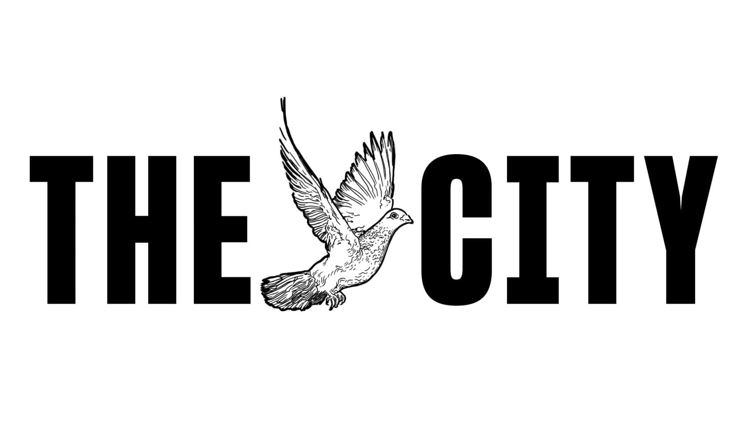 Proyecto The City's Missing Them