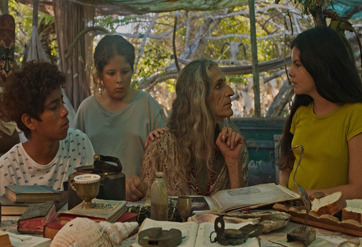 Foto portada: La invención de las especies. Imagen de HFNNY 2025. https://static.wixstatic.com/media/8bb682_ea8817b0b88a4ca889d610699944e89e~mv2.jpg