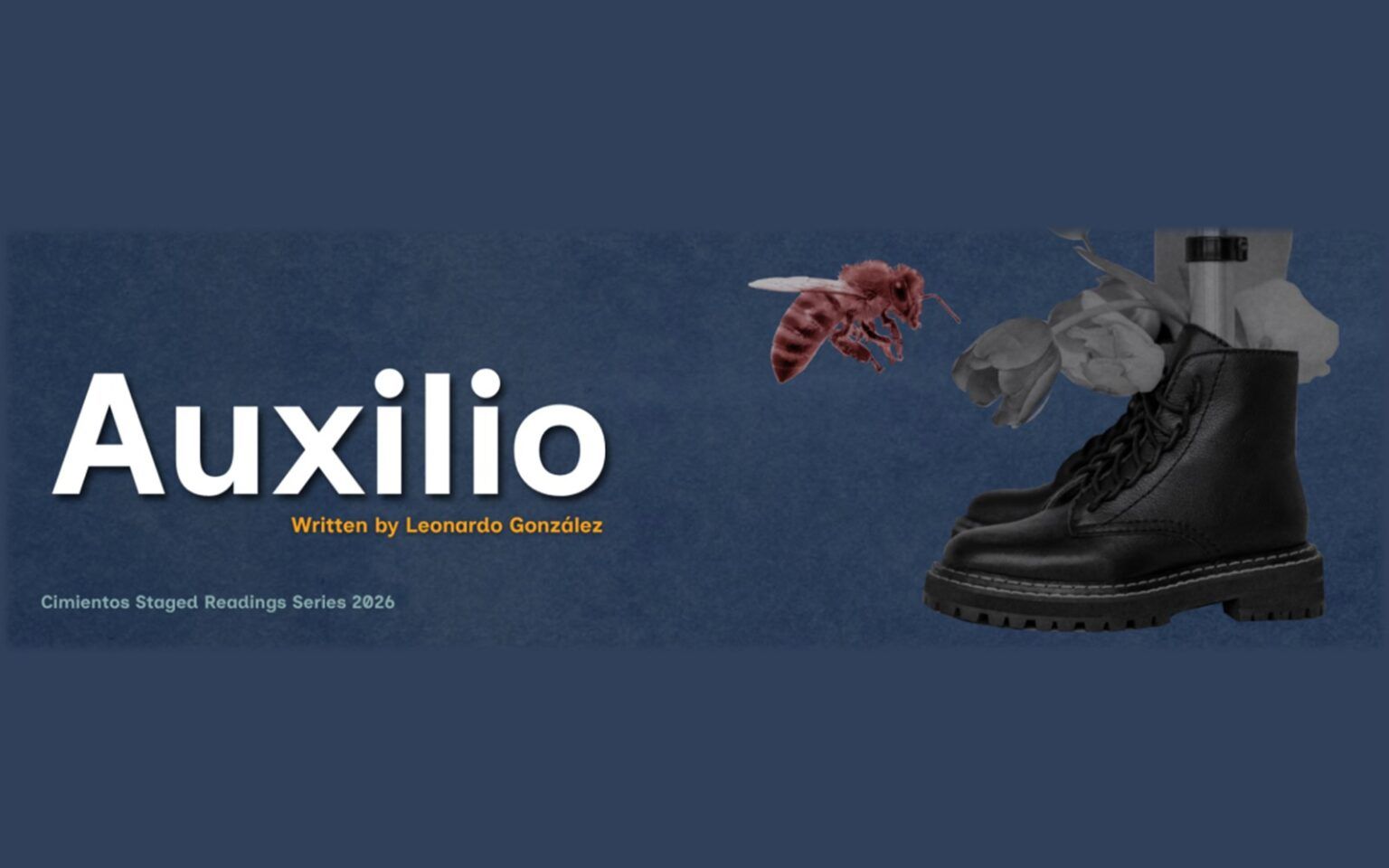 Auxilio- IATI Theater.