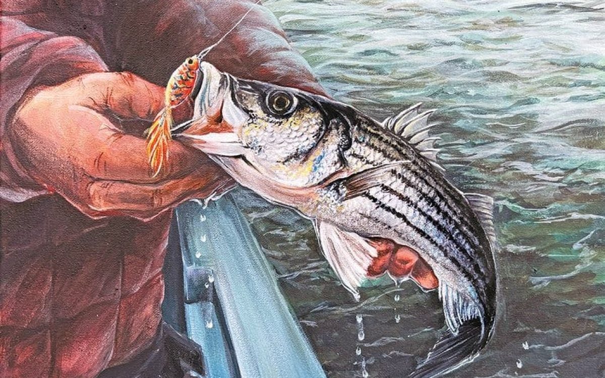 Fish-Art-24-Jenny-Xu-Striped-Bass-2-copy
