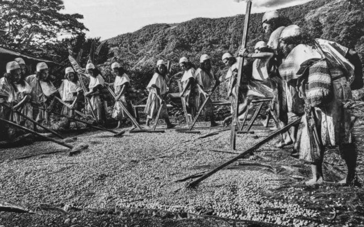 da2aa920-eefe-4e42-98ab-0fdb6c77787c-696x464